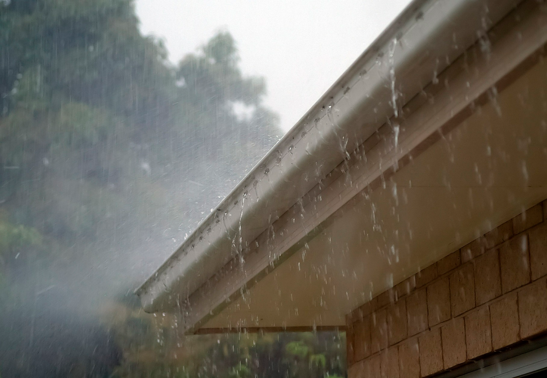 servicios_0002_Capa-1